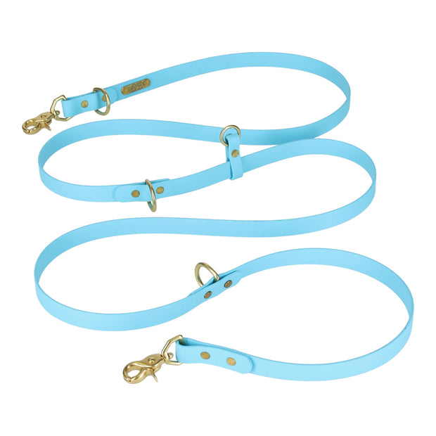 CONVERTIBLE  BRASS LEASH - 1 COLOR