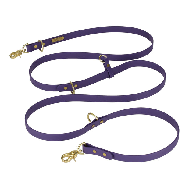 CONVERTIBLE  BRASS LEASH - 1 COLOR