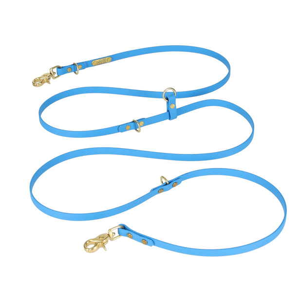 CONVERTIBLE  BRASS LEASH - 1 COLOR