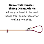 CONVERTIBLE  BRASS LEASH - 1 COLOR