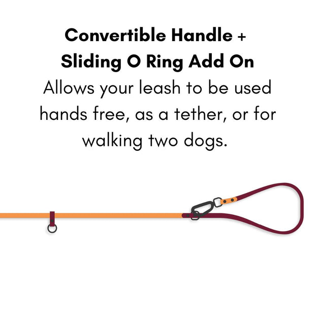 CONVERTIBLE  BRASS LEASH - 1 COLOR